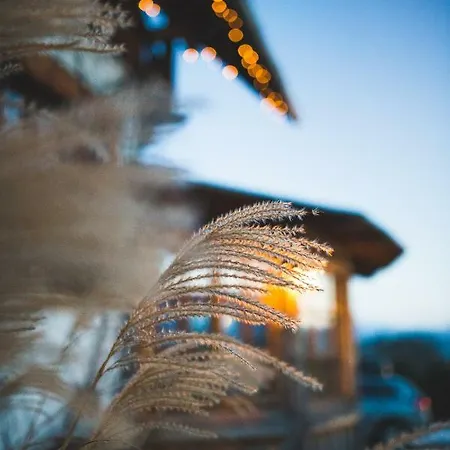 Gazdovsky Dvor S Mini Wellness 3* Bešeňová